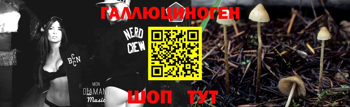 Галлюциногенные грибы GOLDEN TEACHER Магнитогорск
